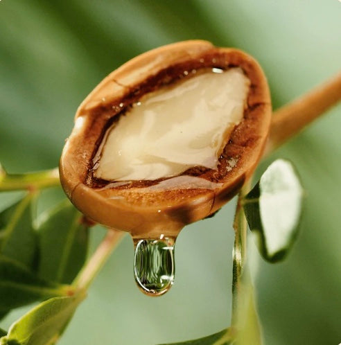 Argan Oil